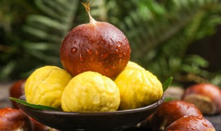 栗子怎么储存好 栗子怎么样储存