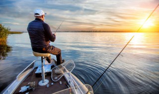 冬天玉米钓鲤鱼方法 冬天玉米钓鲤鱼方法是什么