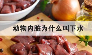 动物内脏为什么叫下水 动物内脏为什么叫下水豆腐