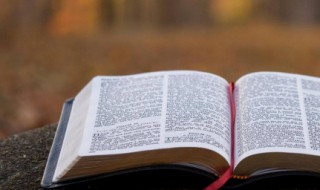 童年的回忆句子 童年的回忆句子英语