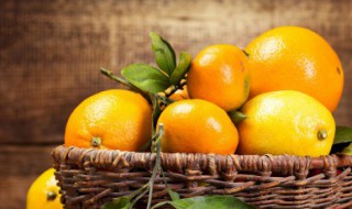 手剥橙子的巧妙方法（手剥橙子的巧妙方法是什么）