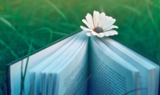 句句扎心的6句话(扎心的几句话)