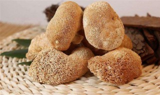 猴头菇保存方法(猴头菇保存方法与用量)