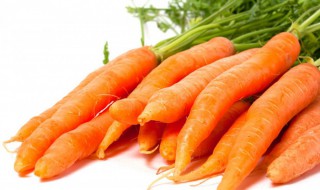 红萝卜的种植方法(红萝卜的种植方法和时间和技术视频)