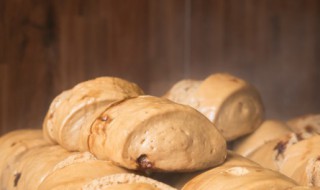 红枣馍做法（枣馍的做法家常做法）