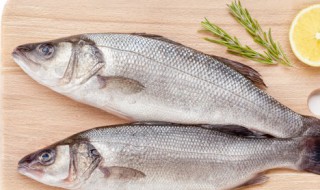 如何做清蒸鲈鱼好吃 怎样做清蒸鲈鱼最好吃窍门