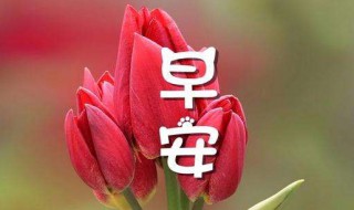关于正月初四早安语 正月初四早安心语