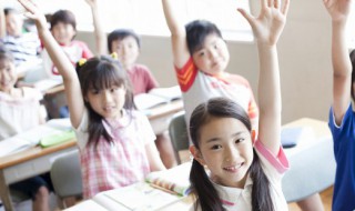 兔子的尾巴歇后语是什么（兔子的尾巴歇后语是什么呢）