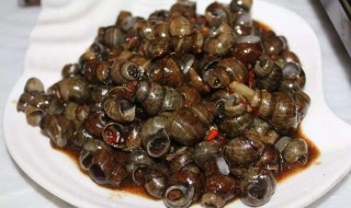 田螺怎么放冰箱保鲜（田螺怎么存放冷冻）