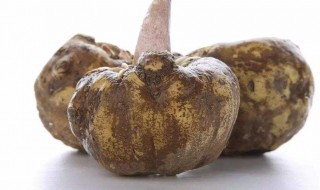 魔芋怎么保鲜不坏(新鲜魔芋怎么保存不坏)