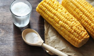 怎么保存玉米最保鲜（怎么保存玉米最保鲜不会坏）