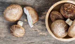 鲜香菇怎么储存（鲜香菇怎么储存时间长）