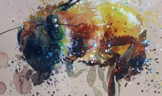 晕染绘画技巧（晕染绘画技巧视频）