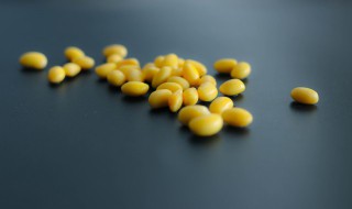 冬天自己泡黄豆芽简易新方法(冬天泡黄豆豆芽怎么泡)