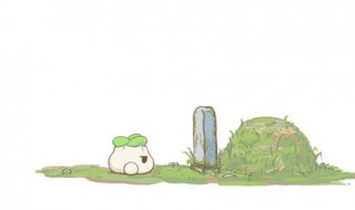 包坟有什么讲究（包坟有什么讲究没）