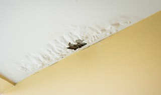 房顶漏水最好补漏的方法（房顶漏水最好补漏的方法是）