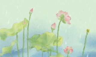 描写天气湿热的句子 描写天气湿热的句子有哪些