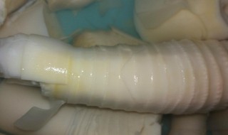 鸡皮笋衣制作方法(鸡皮笋衣制作方法视频)