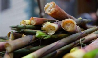 鸡汁鲜笋做法步骤(鸡汁脆笋的做法大全集)