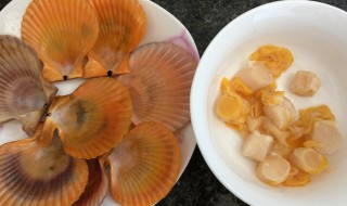 扇贝海带汤豆的做法 扇贝海带汤豆的做法视频