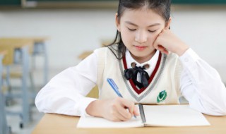 有意义的事作文 有意义的事作文800字