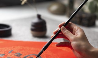 一句吸引人的阳光文案(文案句子阳光)