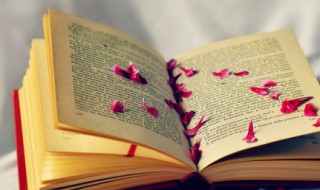 正能量干净的句子 干净短句正能的句子