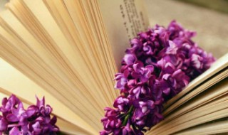 温柔干净的个性签名（温柔干净的个性签名八字）