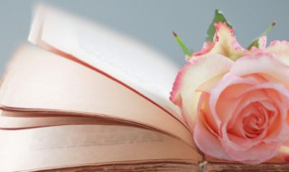 正能量简单干净的文案 简短的正能量文案