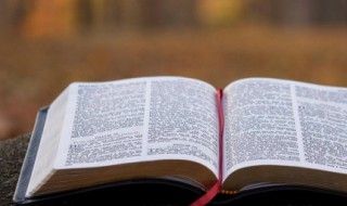 温暖干净的句子 温暖干净的句子有哪些