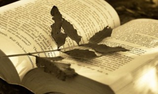 带程字好听的网名 带程字好听的网名男