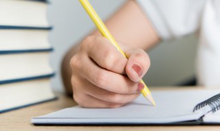 独特的我作文 独特的我作文450字