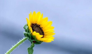 给自己取个好听的网名 给自己取个好听的网名男