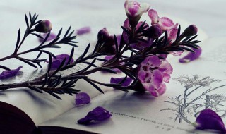 形容不舍的句子 形容不舍的句子短小