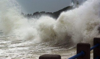 关于台风的简单句子 关于台风的简单句子有哪些