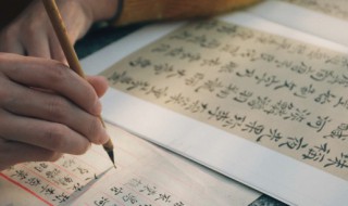 心语情感人生正能量句子（情感语录暖心正能量的句子）