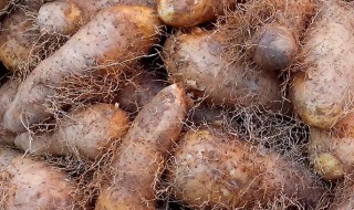 糖胶甜薯的做法 糖胶甜薯的做法大全