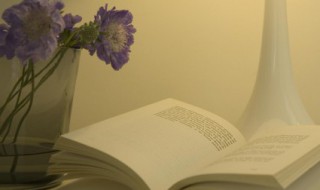 句子发朋友圈简单气质一句话 发朋友圈的气质短句