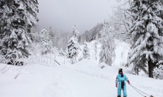 适合冬天发的朋友圈文艺句子（适合冬天发的朋友圈文艺句子图片）