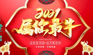 2021牛年是什么命（2021牛年是什么命年）