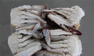 正确的切蟹方法 切螃蟹的方法