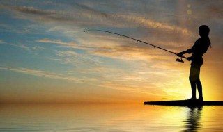 夜钓抛竿技巧（夜钓抛竿技巧和方法）