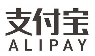 怎么查看支付宝2020年度账单（怎么查看支付宝2020年度账单总额）
