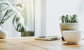 各种绿植的养护方法 常见绿植养护方法