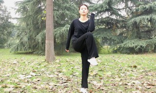 大象腿怎么减（大象腿怎么减最有效视频）