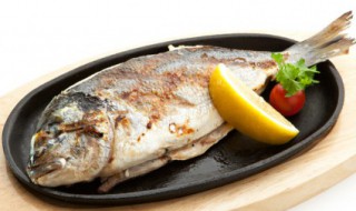 杀好了鱼怎么保鲜 杀完的鱼如何保鲜