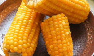 冬天吃的玉米是怎么保鲜的（玉米怎么储藏冬天吃）