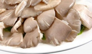 平菇怎么保鲜不长白毛（平菇怎么样保存新鲜,不长毛）