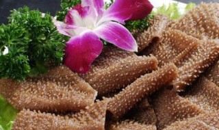 火锅店鲜毛肚怎么保鲜（火锅店鲜毛肚怎么保鲜好）