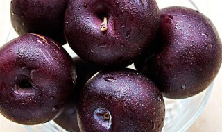 黑布林怎么保鲜 黑布林怎样保存